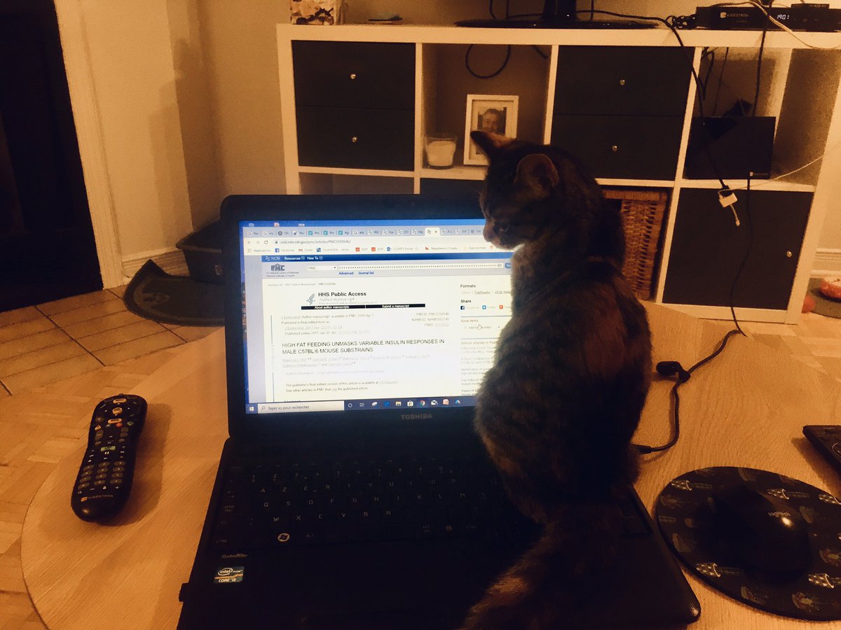 When your cat really loves literature about mice 😻🐭👩🏻‍💻