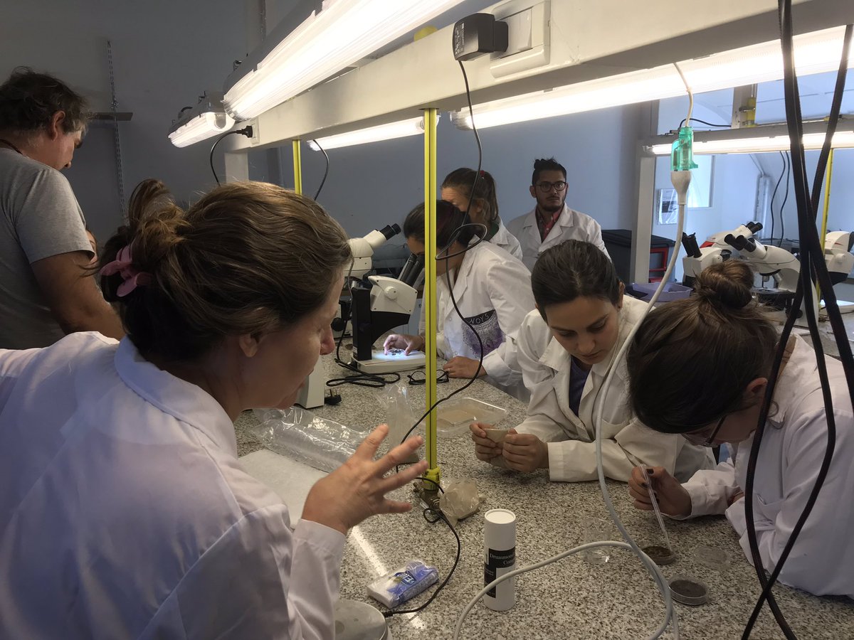 DrylandAlgae's tweet photo. After 11 hrs of field visits, lab fun, and intriguing discussions while teaching the 1st day of a weeklong grad class on biocrust in Argentina I am still upright and can call it a success. #biocostras #NMSUaces https://t.co/4YYDYFg3z8