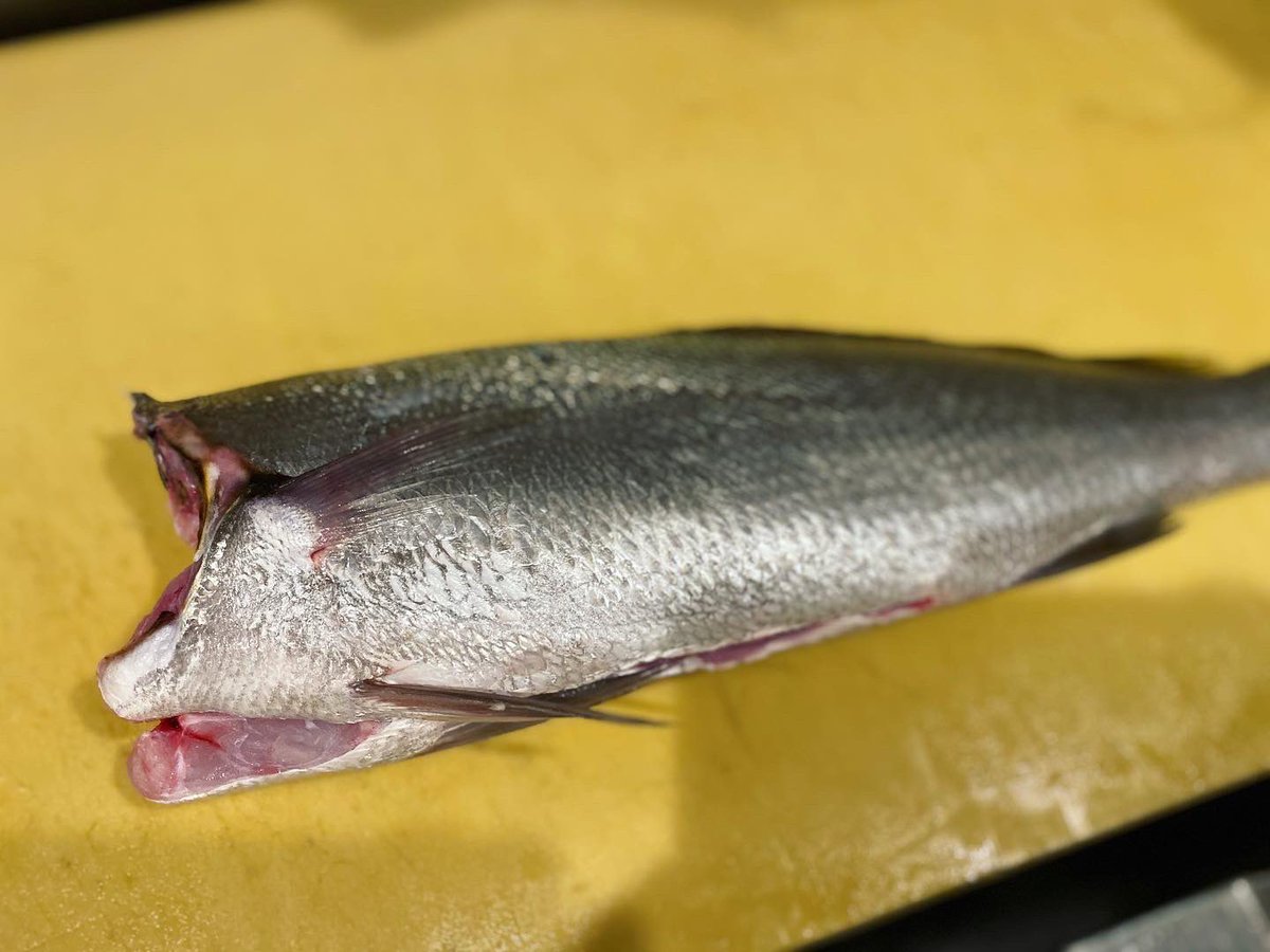 田中ケン ケンズキッチン 熟成ニベ 刺身 うまい 魚 刺身盛り Food Fish Dish 刺身盛合せ お造り 手作り料理 和食 寿司 鮨 Sushi Sushi Sashimi 釣り フィッシング カマス かます イシモチ ニベ 熟成 熟成肉 熟成魚 熟成寿司