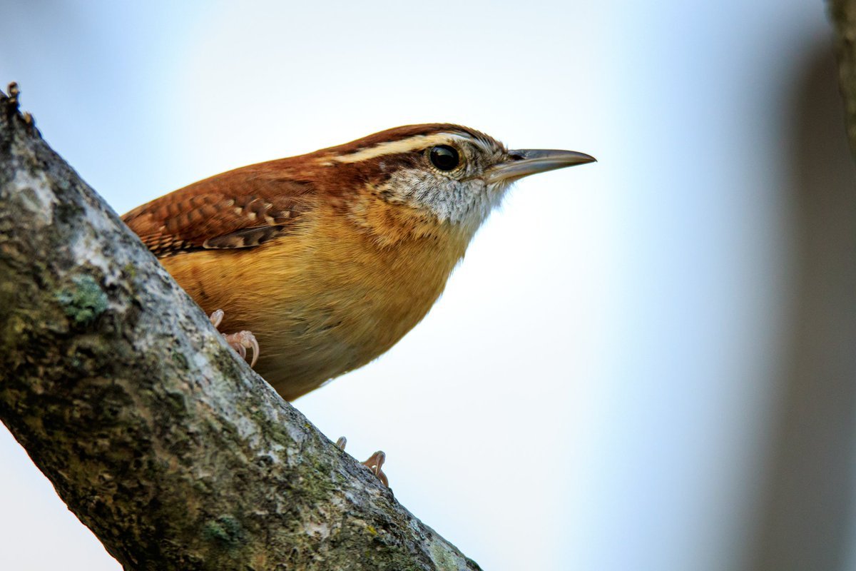 다모아일칠 (@datkomoa17) on Twitter photo 