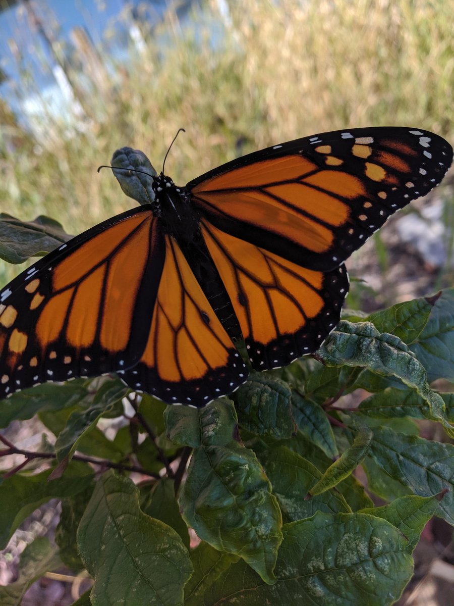 Miriam P tweet media