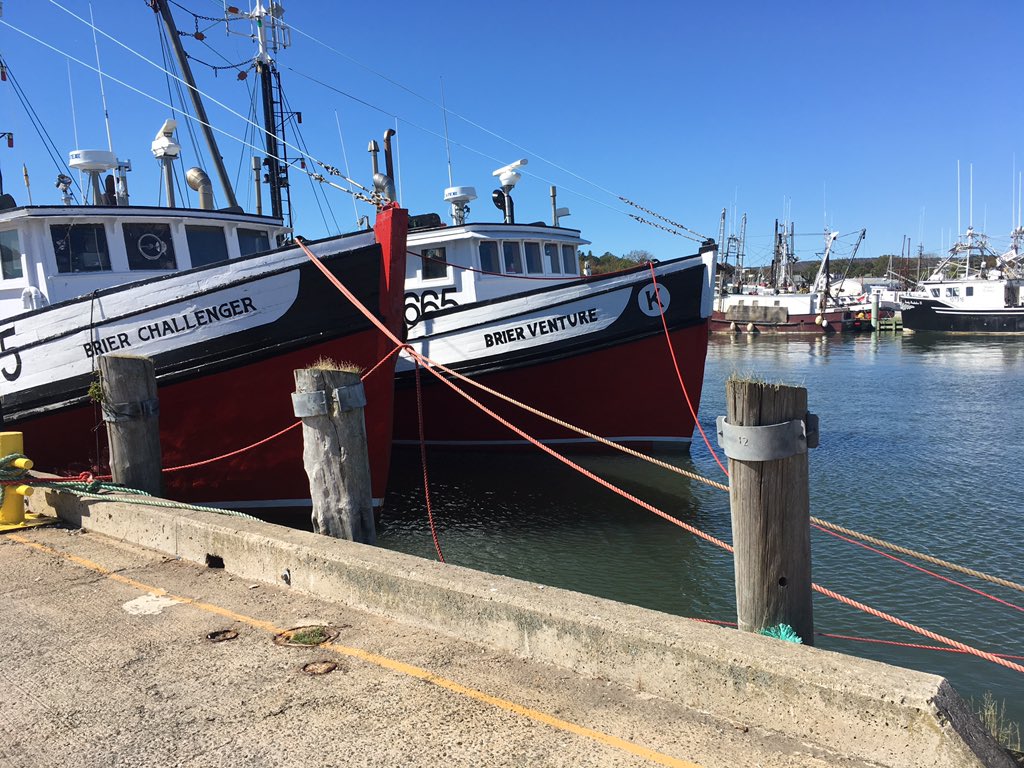 DigbyTourism's tweet photo. The #Digby #waterfront is busy these days with #lobster and #scallop boats coming and going! #mywaterfront @developns @digbymuni @VisitNovaScotia https://t.co/SFnKxVvboP