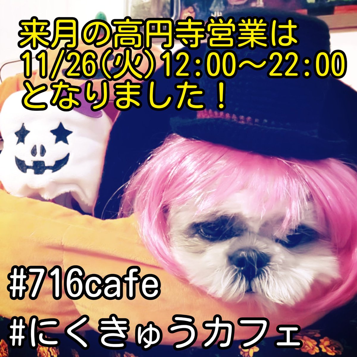 にくきゅうカフェ V Twitter 高円寺で月一出張営業しています 来月は11 26 火 12 00 22 00に営業 皆様のご来店お待ちしておりまーす にくきゅうカフェ T Co Msplqw19fd 716cafe T Co B4rxxyhn28 小金井公園 ドッグカフェ カフェ いぬすた
