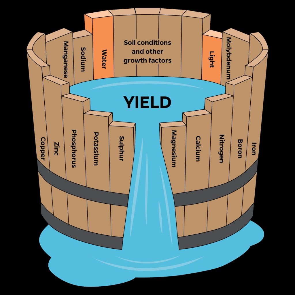 PacificGrow's tweet photo. In the 19th century, German scientist Justus von Liebig formulated #Law of the Minimum and we are doing just that 🙌#PacificGrow with cutting edge #Israeli technology is not only providing water to the soil but food for the plant. #foodsecurity #agriculture https://t.co/tM1HNpsLuq