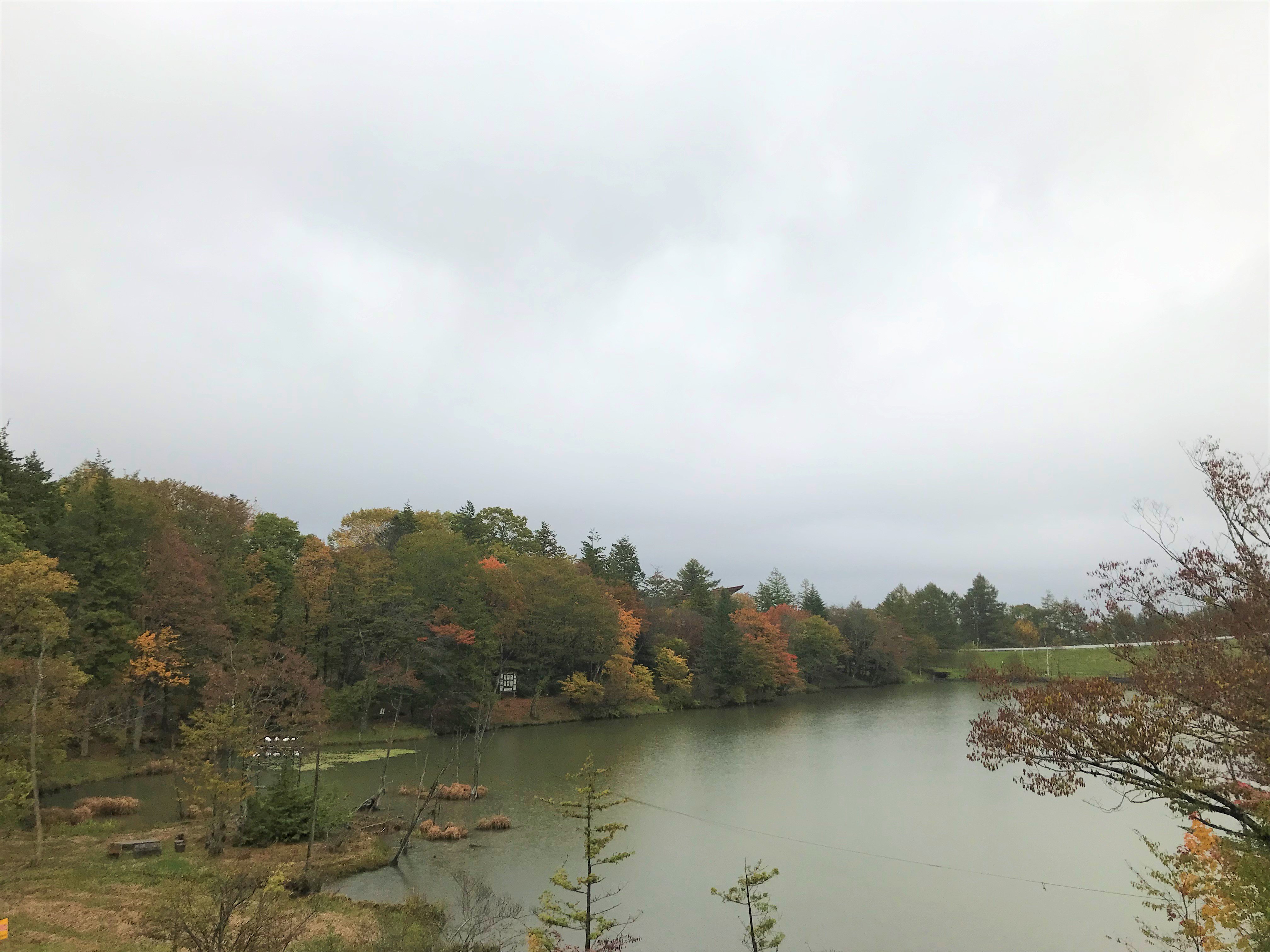 茶臼山高原 茶臼山高原の紅葉状況です 今年は紅葉が遅れており 11月中旬まで楽しめそうです また 高原道路は11月中旬が見頃となります T Co Gfgzzwm9nj Twitter