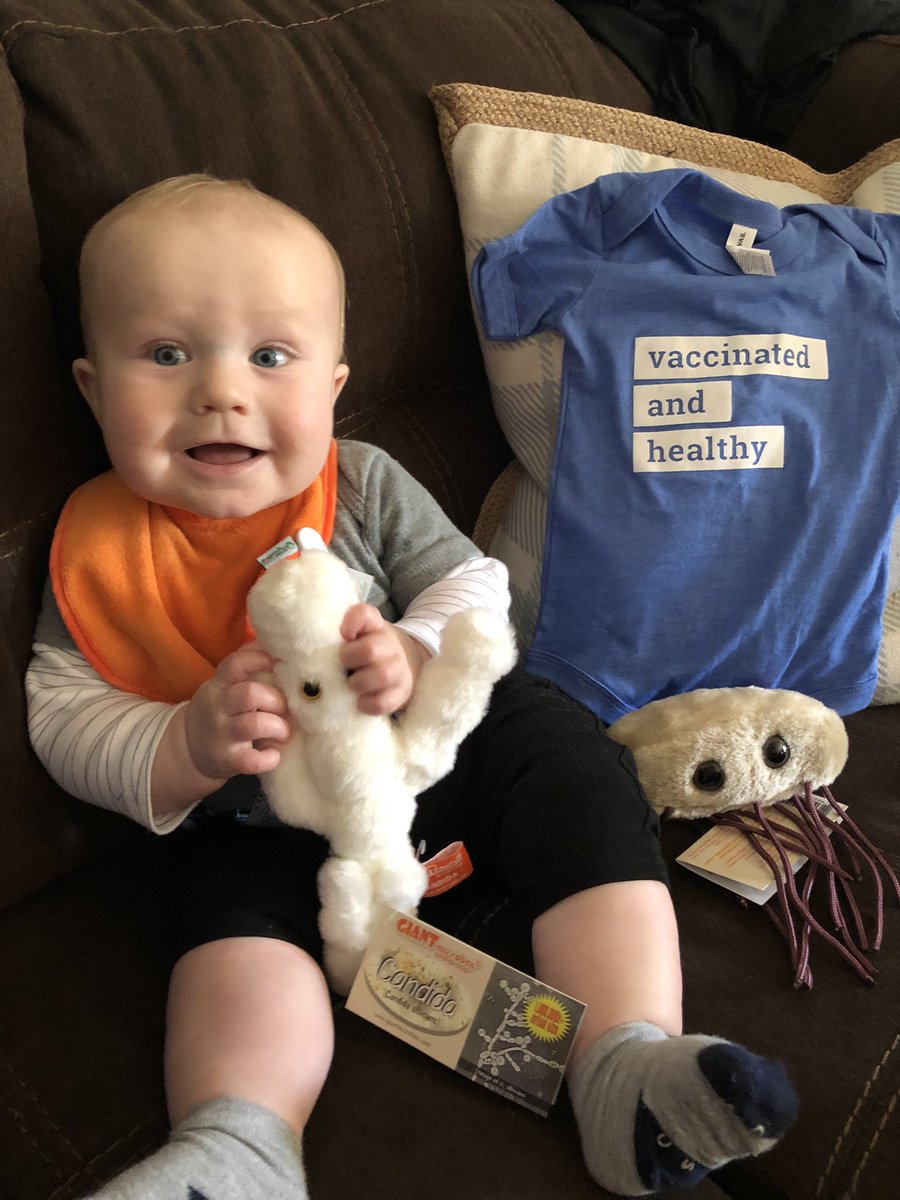 rachels_93's tweet photo. Jase loves the things mama got him at her work conference! #APICALC #vaccinatedandhealthy #candidaandecoli @GoopWalls https://t.co/3OGws9qeBz