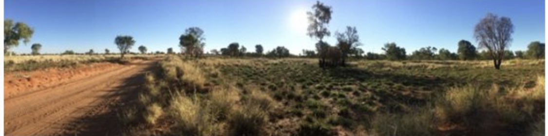 Raising awareness of #gamblingharm at the Australian Rural and Remote Mental Health Symposium #ruralmh <a href="/ANU_CGR/">Centre for Gambling Research</a> talking #gambling in remote Indigenous communities #NTGambling project