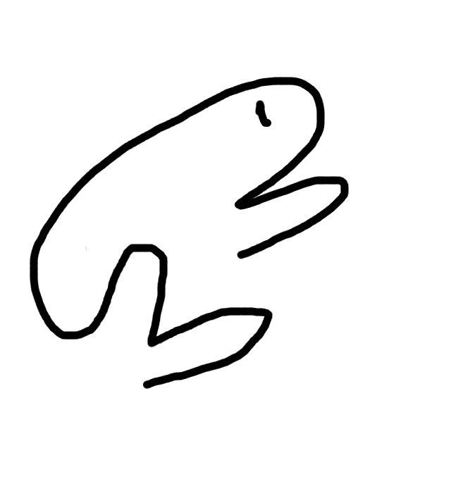 ribombeesus's tweet photo. frog essentials https://t.co/qbgBd7p8v8