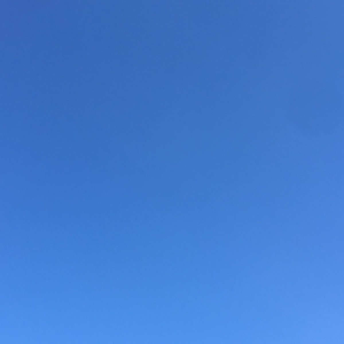 井の字 青さ澄み切る空 気持ちの澄む朝