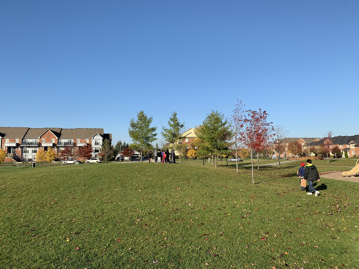 MsCheung216's tweet photo. We love math outside! What types of trees do we have in our schoolyard?  Tree identification paired with data management.@YRDSBGetOut @GreensboroughPS @YRDSBEcoSchools @EcoSchoolsCAN #outdoorlearning #mathisfun https://t.co/oGV8WWBdEJ