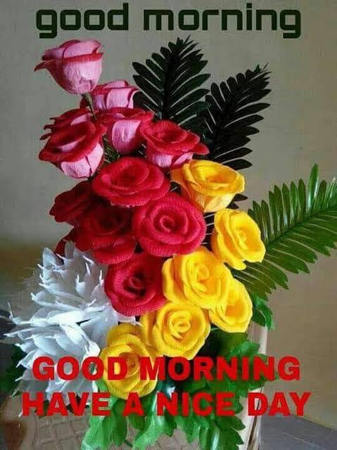 krishan12_radha's tweet photo. @Cutepri95916301 💐💐💐💐ये आपके कंगन और कानों की बालिया,सुंदर हाथों की नेल पॉलिश हम सब को एक संदेश देती है सुन्दर बनो कगंन की तरह एकजुट रहो और इन हाथों से सदा अच्छा कार्य करो
आपकी तारीफ है 💐💐💐💐💐💐💐💐💐💐💐💐💐
सुबह की राम राम जी 💐💐💐💐💐💐💐💐💐💐💐 https://t.co/WirhZtplaU