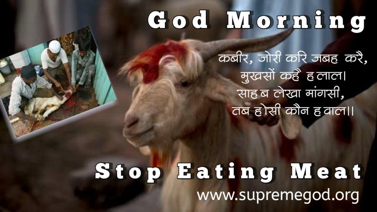 Mkumar_Mkumar_'s tweet photo. #GodMorning_MeatEaters
Be human not 😈 devil 
God has given us May various of things to eat then why you eat meet ☹️
Stop Eating Meat🍖🚫
Animals are killed for meat and leather. It is heinous Sin.
#TuesdayThoughts https://t.co/jTww8PhPss