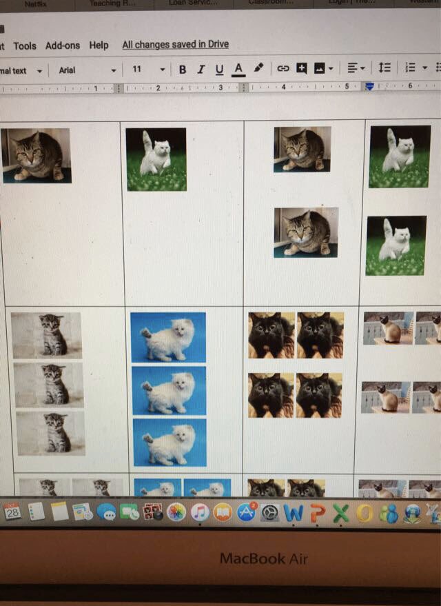 MissMBeal's tweet photo. When your students love cats so you make a cat themed Go Fish game for them 😻 https://t.co/gvgm6lLyzy