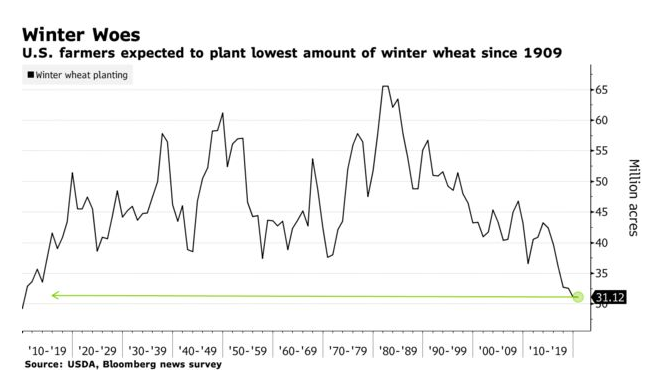 business's tweet image. U.S. farmers are poised to plant the fewest acres of winter wheat varieties in 110 years bloom.bg/2pkSWEV