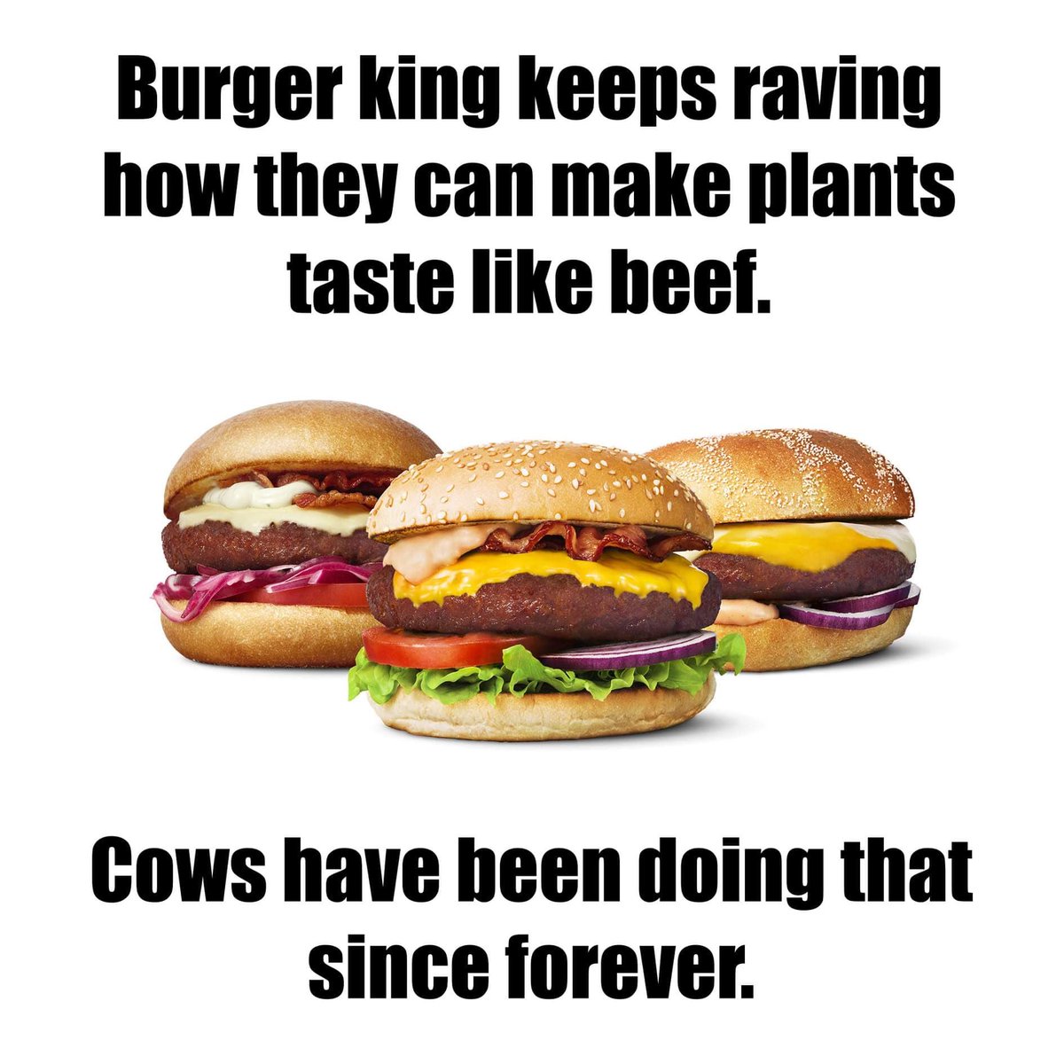 Mike Spratt (@donarofarms) on Twitter photo 