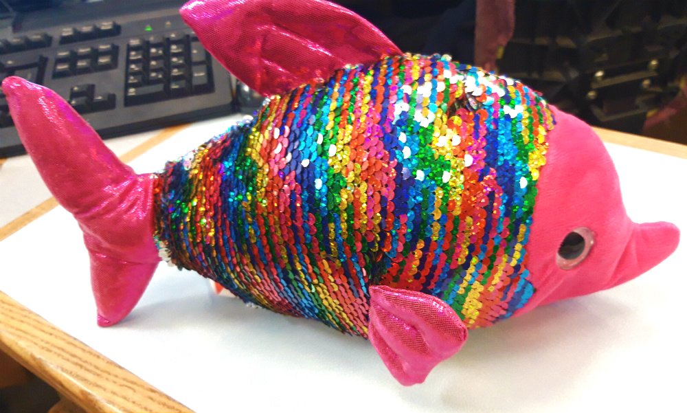 BuryLeisure's tweet image. CAN YOU HELP?
Still separated from their family, this fish is now living in reception at #Bury after being found in our family changing rooms  🐟
We're looking after them but they'd definitely prefer to be back home ☹️
Please retweet to try + make it happen.
#FindingNemosFamily