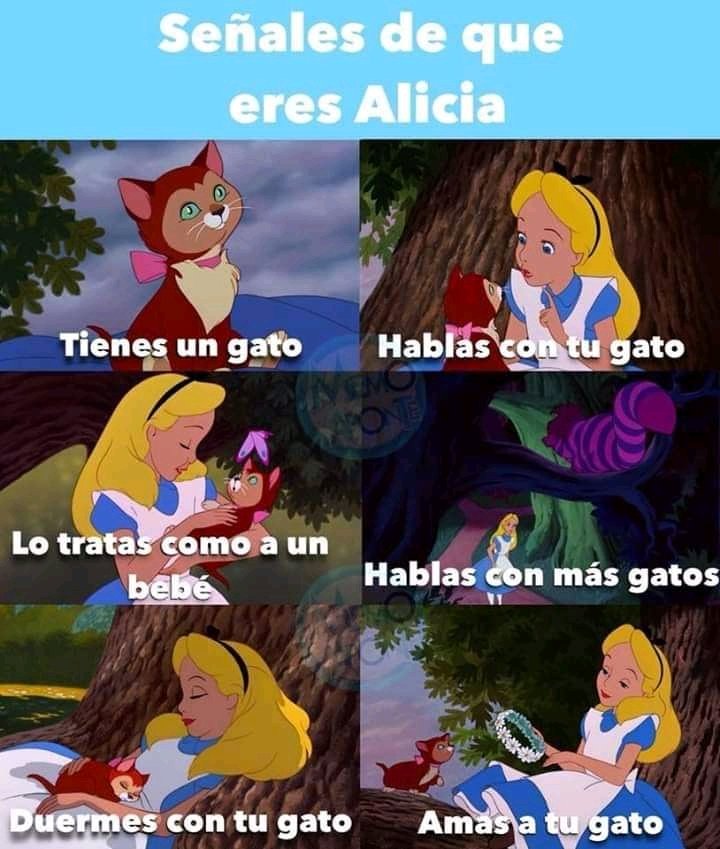 LCarroll_esc's tweet photo. Y tú... ¿También eres Alicia?
#Literatura4b1
#gatos 
#martes https://t.co/AKTl5XnRsc