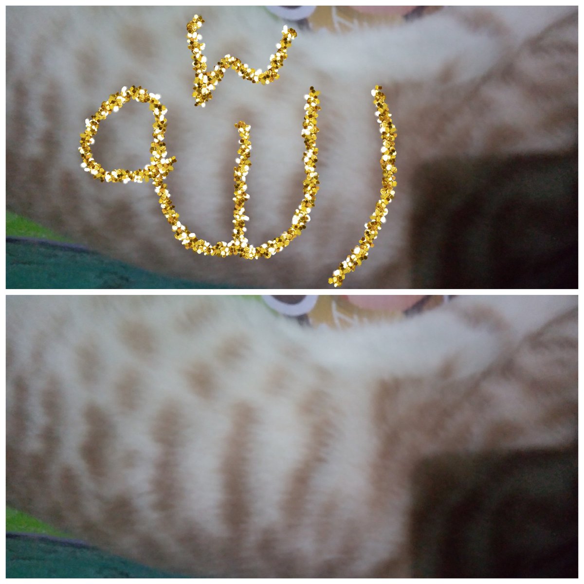 Reestari's tweet photo. Ini uniknya #kochengoren ku,, mana uniknya #kochengoren mu 😺😻 https://t.co/rbMY7OY1qS