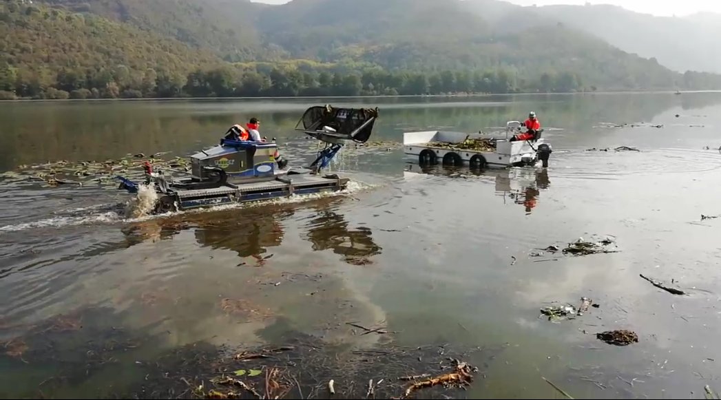 Pulizia del Lago di #Fimon (Vi) ad opera del Consorzio di Bonifica Alta Pianura Veneta. Per l'occasione è impiegato un mezzo speciale in grado di muoversi con agilità e nel rispetto dell'ambiente. 👉bit.ly/31SOL0f