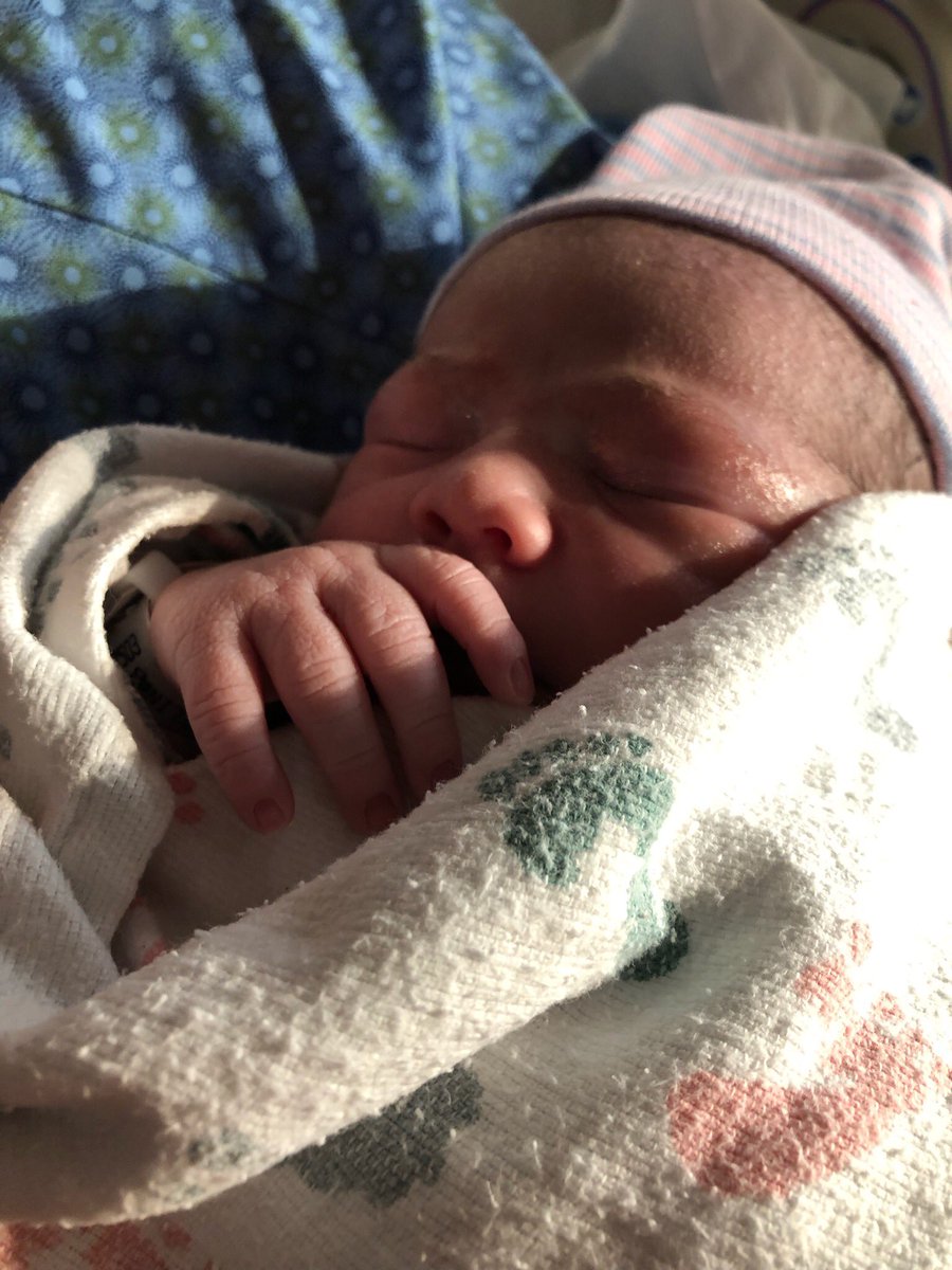 Hi, world. Meet Rory.