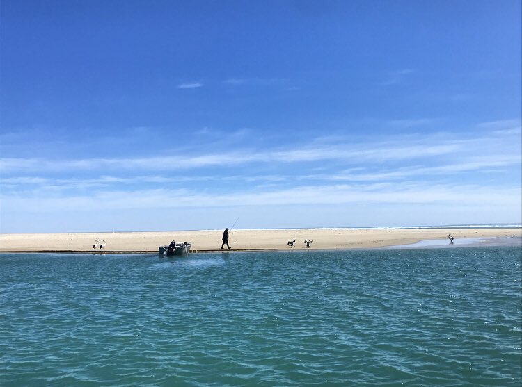 RabbittHannah's tweet image. Incredible! #BetterTogether2019