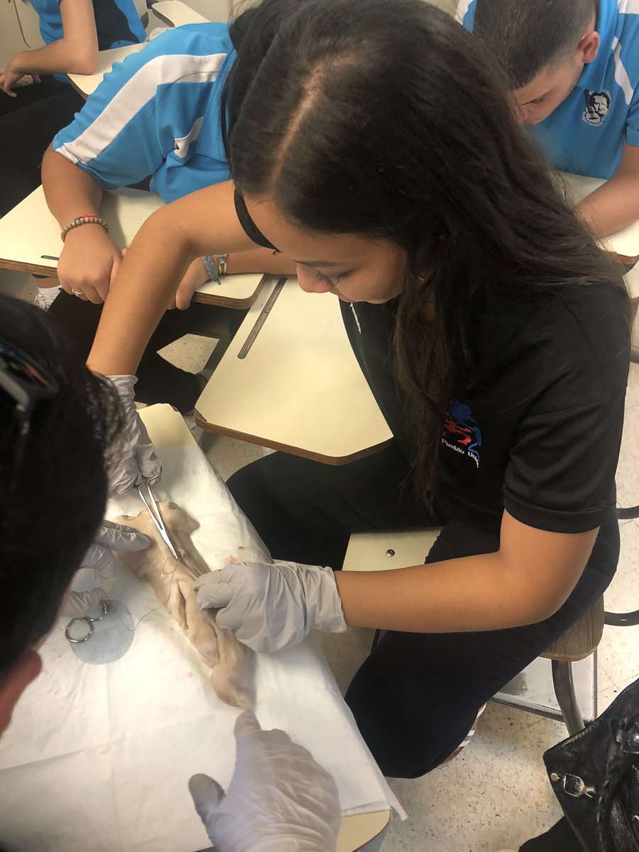 asantosepu's tweet photo. Participando de una de nuestras clases de exploraciones en Escuela Tomás Maso Rivera. Taller de Sutura ofrecido por @amsauprb. Students loved it! @elpueblounidoPR #DesignThinking #Explorations ❤️💙 https://t.co/hEYwS27YbW