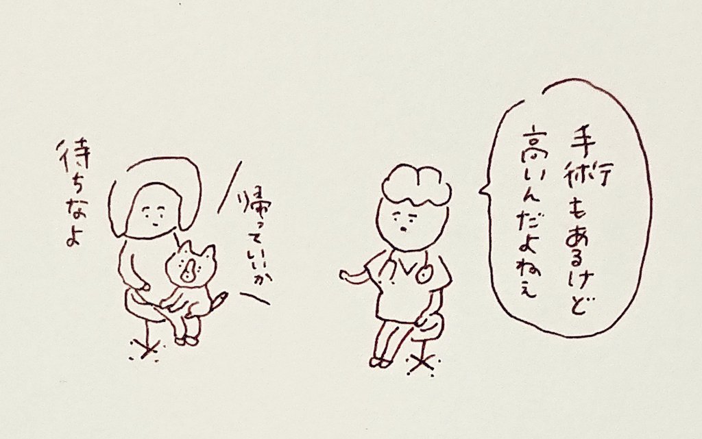先生素直すぎてよかった あたたかく見守る作戦で行きます 