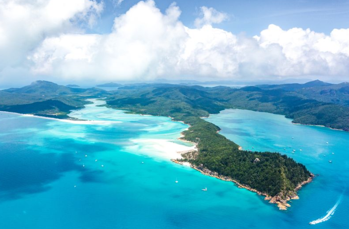 British man has foot bitten off by shark while snorkeling off Australian coast mirror.co.uk/news/uk-news/b…