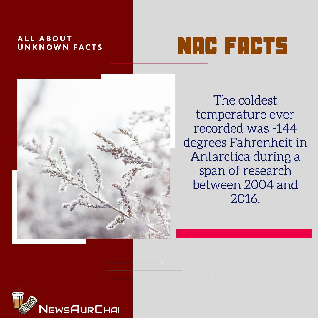 NewsAurChai's tweet photo. #FactualTuesday With #NAC.
--
#Follow to learn More #Facts.
--
#NACFacts #NewsAurChai #NACDay #TuesdayFacts #FactualLife #Knowledge #FactsToKnow #FactPro #FactTo learn #WorldFacts #CreativeFacts #FactsInPictures #AmazingFacts  #WordsToLearn #GrowToLearn #LearnWithNAC #Read #Grow https://t.co/xKqkFhXXYJ