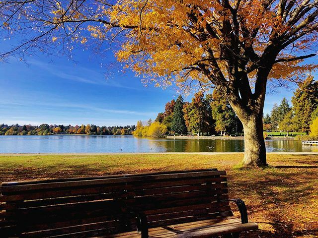 Green, yelllow, orange and blue #seattle #wa #pnw #k5fall #fall #fallcolors #autumn #autumncolors #fallvibes #autumnvibes ift.tt/2MRIqhg