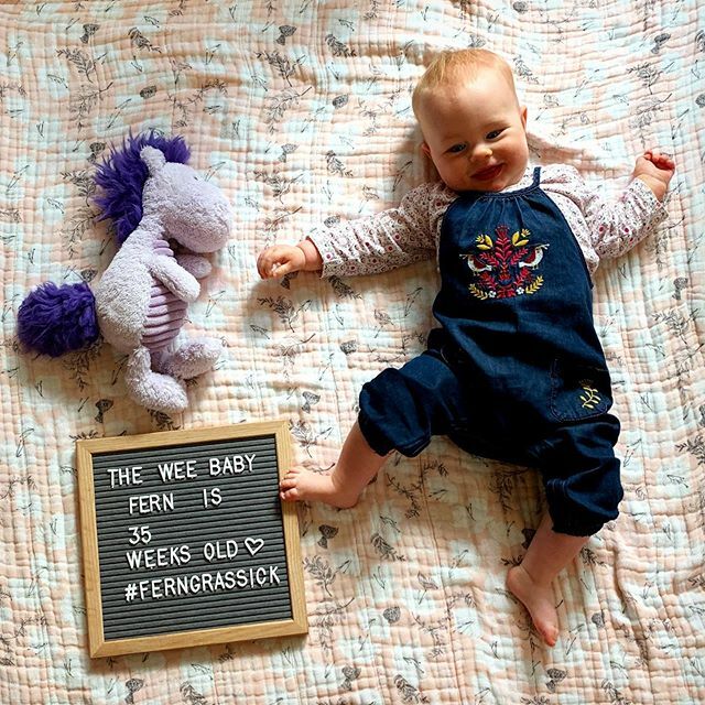 mgrassick's tweet image. Dungarees for days #FernGrassick #35WeeksOld #PurpleHorsey ift.tt/2Pr5zsE