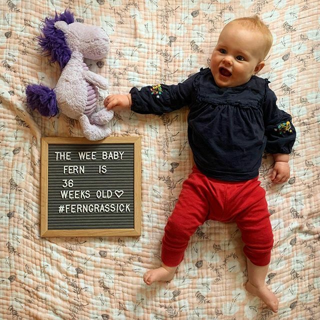 mgrassick's tweet image. First ear infection hasn't slowed her down #FernGrassick #36WeeksOld #PurpleHorsey ift.tt/34bpe46