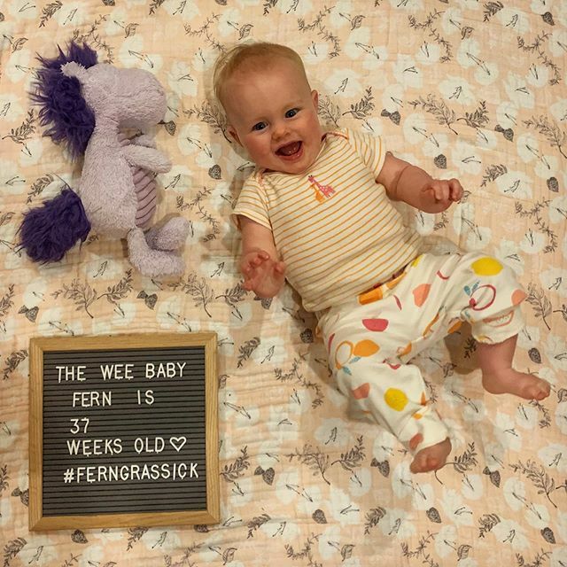 mgrassick's tweet image. She crawls!! #FernGrassick #37WeeksOld #PurpleHorsey ift.tt/2JwfcCx