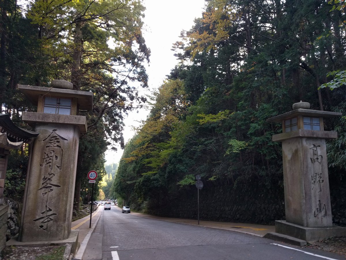 Julia🐾 tweet media