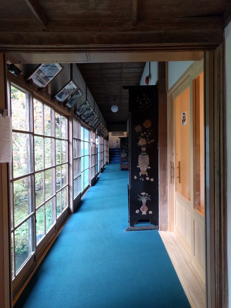 Julia🐾 tweet media