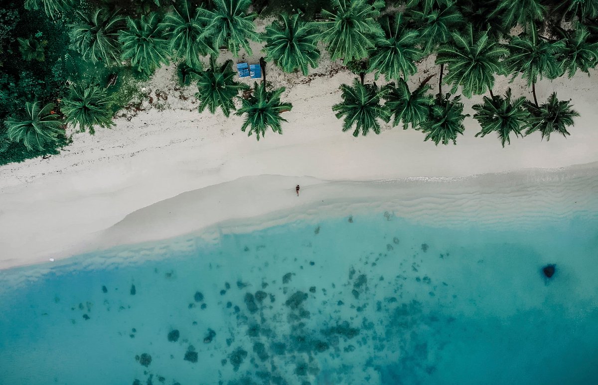 WegoIndia's tweet photo. We often travel to different countries in search of beautiful untouched islands, turquoise blue water, and pristine beaches, ignoring the little slice of heaven called Andaman that exists in our country.
#wegodestination: Andaman & Nicobar islands
📷 @Soulandfuel https://t.co/FJA69xDR6C