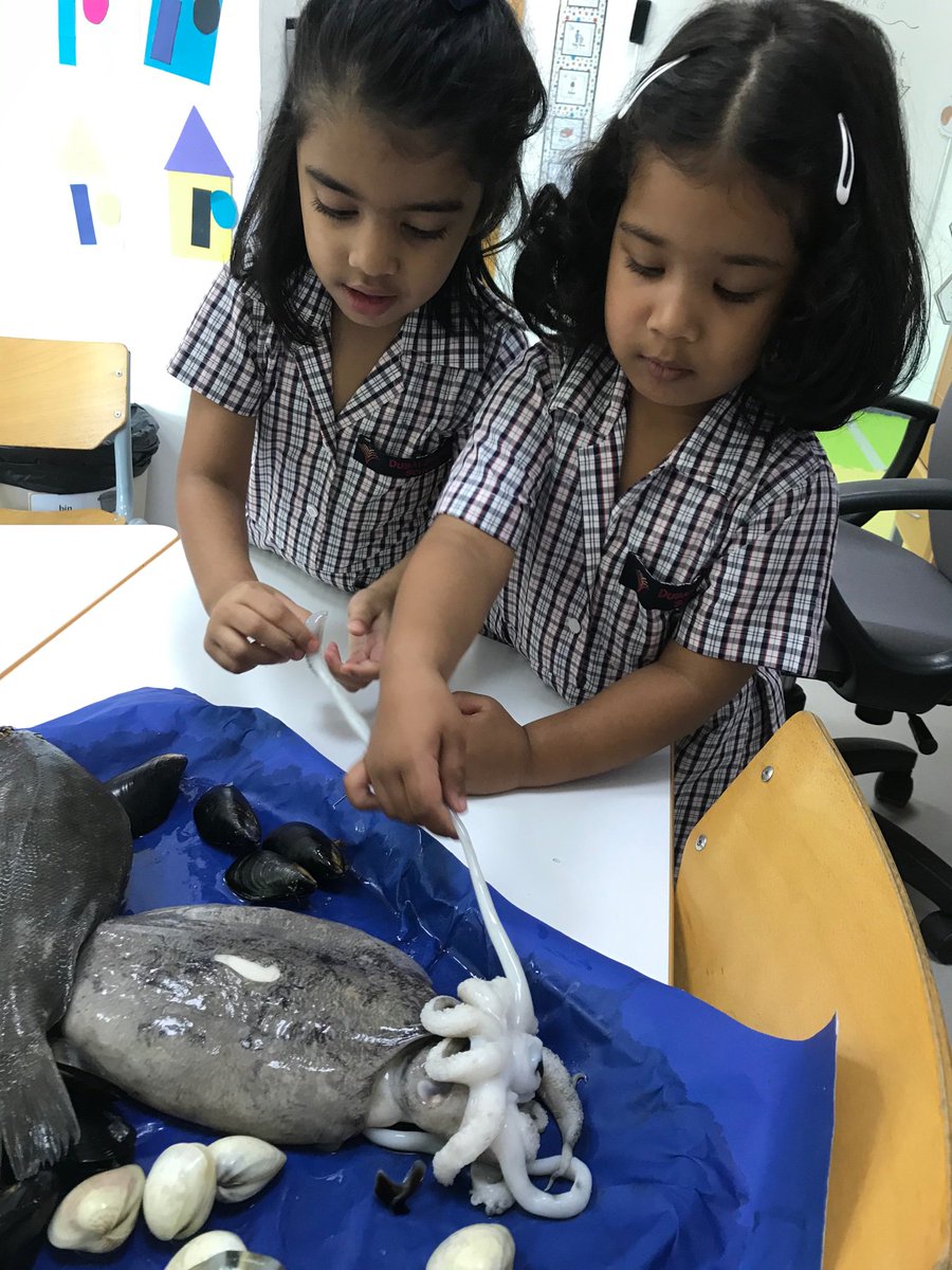 DBS_FS1's tweet photo. Cheetah class loved looking at and handling real fish this morning. We learnt so much whilst exploring the fish’s scales, gills, fins, tentacles and much more. Check out the pictures of us being super brave! 🦑🐟🦐 #firsthandexperiences #handsonlearning #beginsatDBS https://t.co/IsxyMElJHP