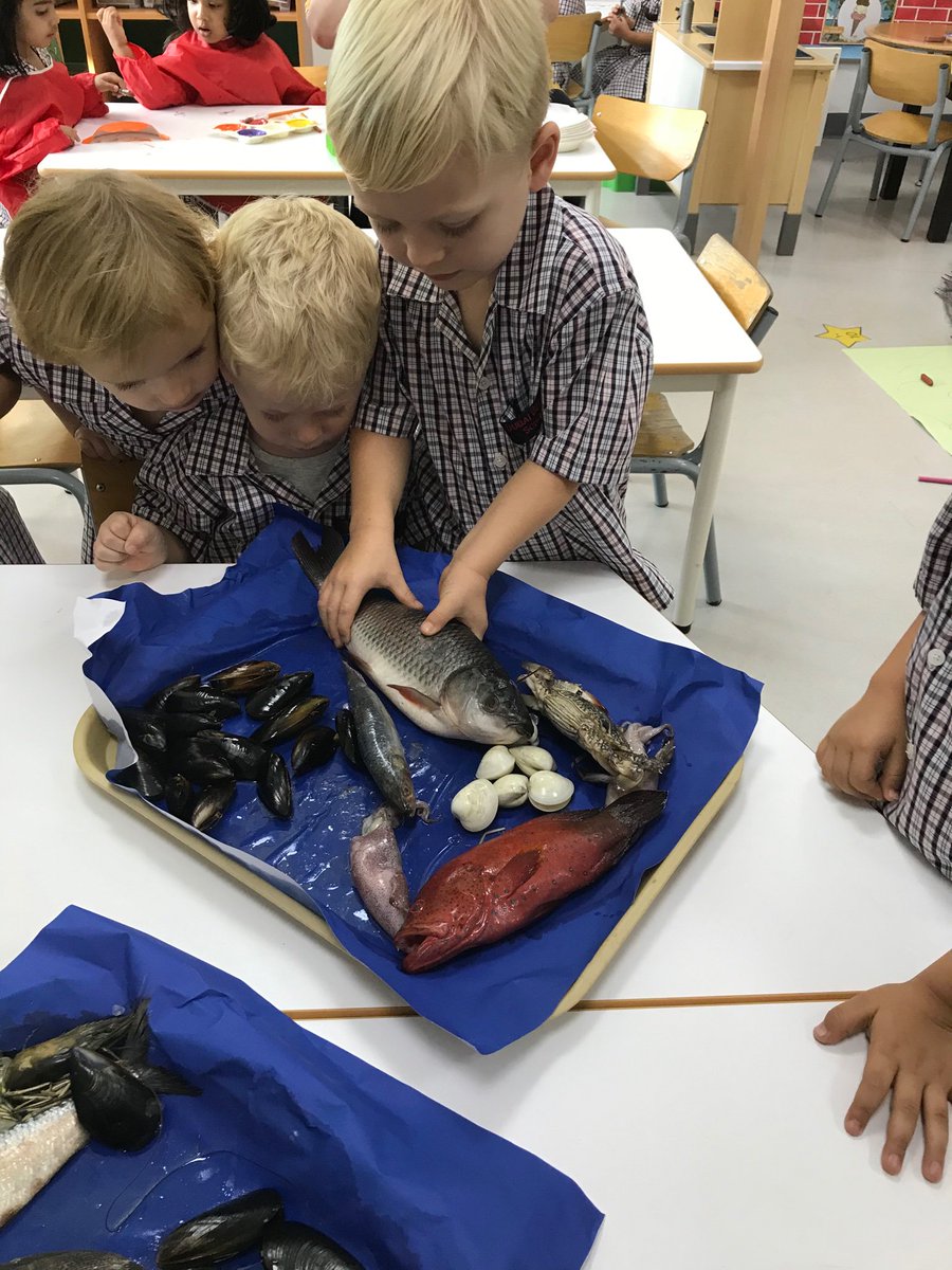 DBS_FS1's tweet photo. Cheetah class loved looking at and handling real fish this morning. We learnt so much whilst exploring the fish’s scales, gills, fins, tentacles and much more. Check out the pictures of us being super brave! 🦑🐟🦐 #firsthandexperiences #handsonlearning #beginsatDBS https://t.co/IsxyMElJHP
