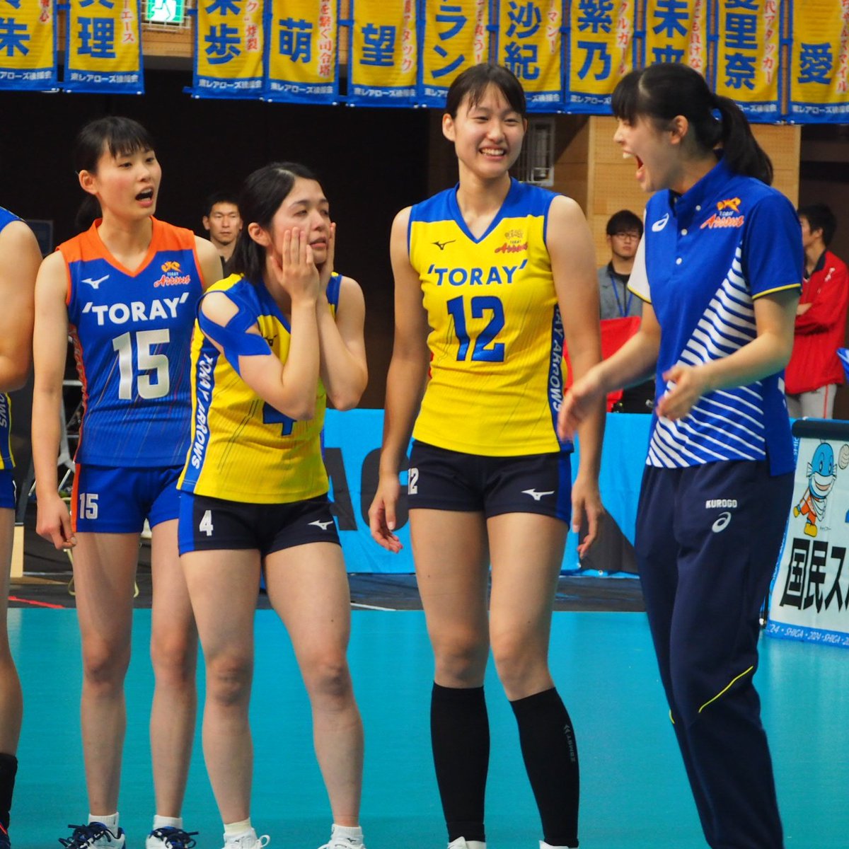 水杉 水杉巨木步道 Superjpgazo