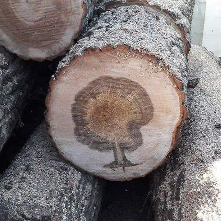 arborsmarty's tweet photo. A sign. https://t.co/KZCIk3BnbS