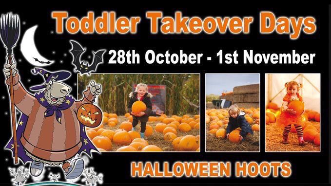 Brilliant Halloween 🎃 Toddler Takeover day with the little Monsters Ball - every day this week ! OPEN FULLY ALL WEEK !! Are you coming to play ? thebigsheep.co.uk/events/