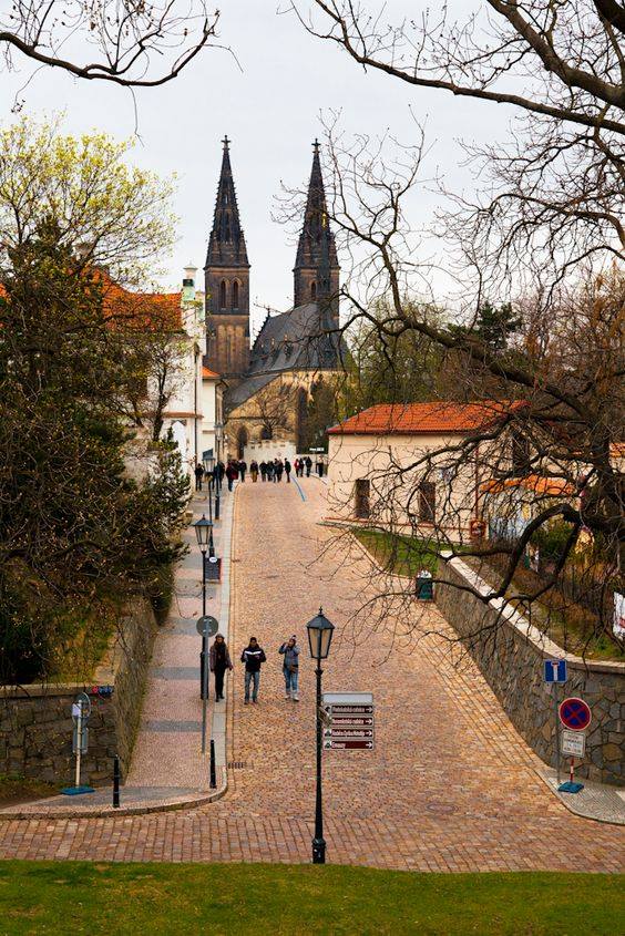 Anna D. Alger tweet media