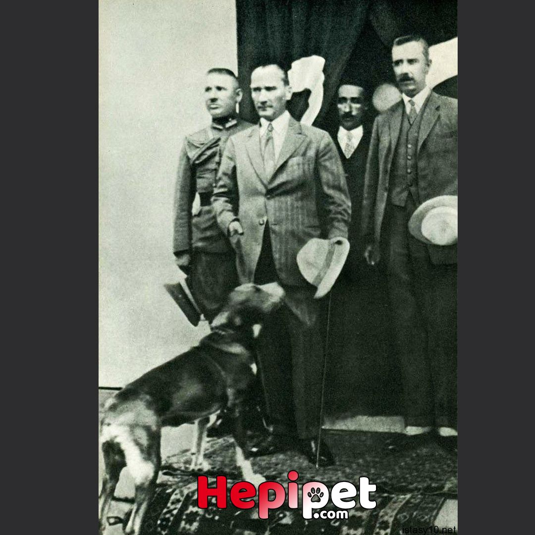 “Benim naçiz vücudum, bir gün elbet toprak olacaktır. Fakat Türkiye Cumhuriyeti, ilelebet payidar kalacaktır.” Mustafa Kemal Atatürk⠀
⠀
29 Ekim Cumhuriyet Bayramımız Kutlu Olsun...⠀
⠀
#29Ekim #CumhuriyetBayramı