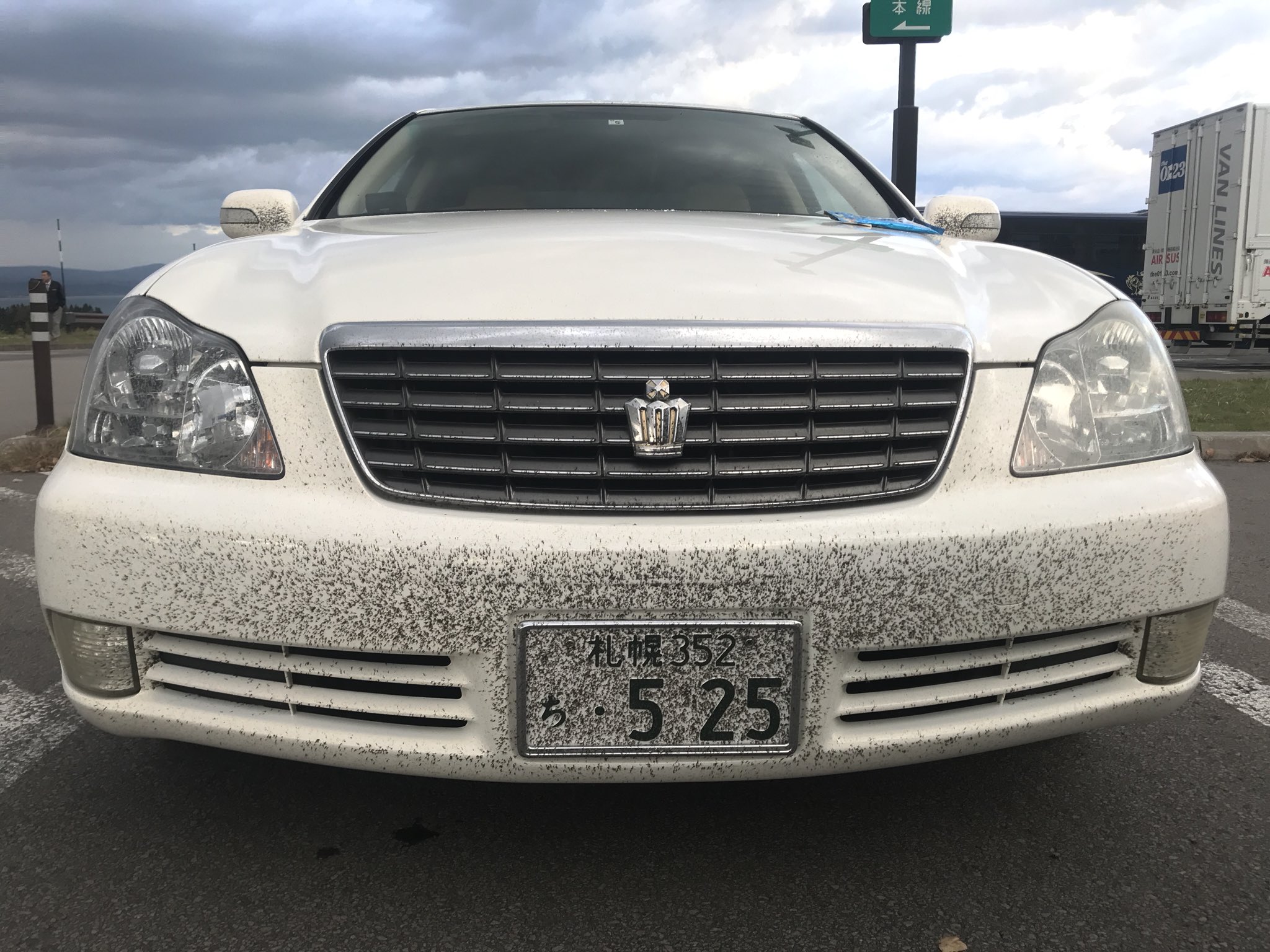 公式まんまん 函館雪虫多くて車がツートンに T Co 5yd8y72jpf Twitter