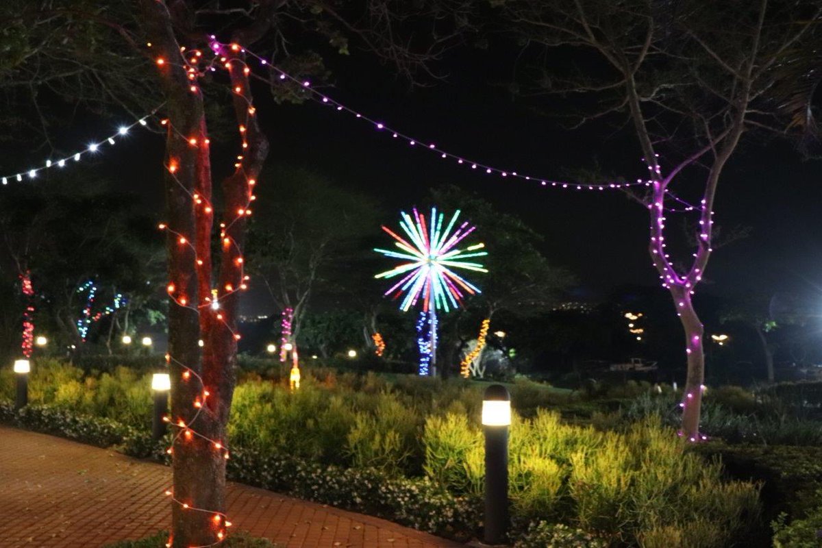 SibayaCasino's tweet photo. Check out our stunning Diwali light display – on every day after 18h00 until 2 November!  🎉 https://t.co/CyDiKakAcq