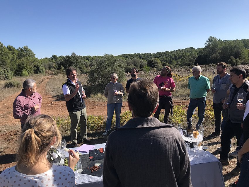 👉Codorníu finalitza una verema "excepcional" al Pla de Manlleu
naciodigital.cat/cupatges/notic…