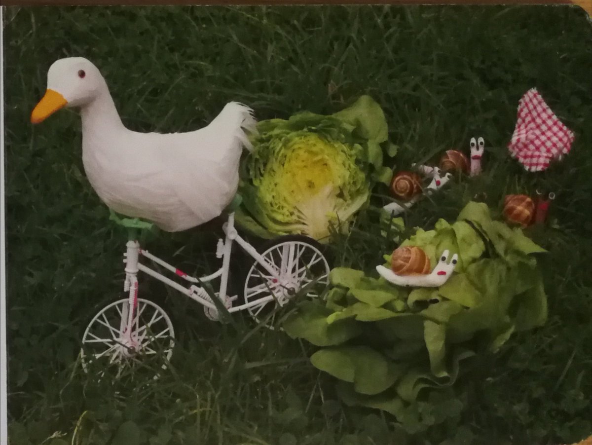 GokodM's tweet image. #livrepourenfant #education #velo sans commentaire