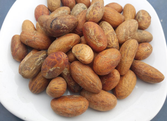 Agro1Media's tweet photo. #BitterButBetter
Garcinia kola, often known as Bitter #kola, is a flowering #plant found mostly in the tropical rain forest region of Central and West #Africa. In folkloric medicine, every part such as the seeds, stem, and leaves has #medicinal value https://t.co/Dp4lOcbrSz