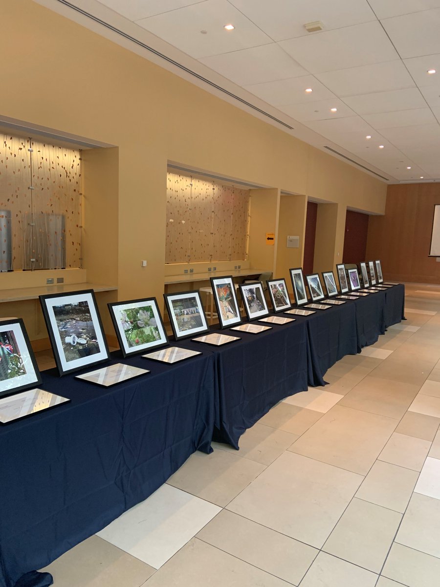 Philadelphia Collaborative for Health Equity (@p_c_h_e_) on Twitter photo P-CHE's East North Philadelphia PhotoVoice Exhibit is now on display at <a href="/JeffersonUniv/">Thomas Jefferson University</a> and <a href="/TJUHospital/">Jefferson Health</a> 's center city campus - 901 Walnut Street ! Stop by to take a look at the impactful work done by students from Nueva Esperanza, HUNE Philadelphia, and Providence Center. P-CHE's East North Philadelphia PhotoVoice Exhibit is now on display at <a href="/JeffersonUniv/">Thomas Jefferson University</a> and <a href="/TJUHospital/">Jefferson Health</a> 's center city campus - 901 Walnut Street ! Stop by to take a look at the impactful work done by students from Nueva Esperanza, HUNE Philadelphia, and Providence Center.