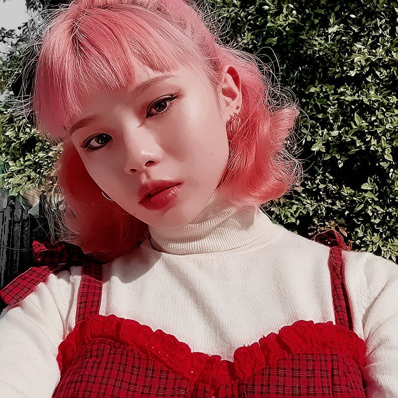 cactxsawv's tweet photo. ❀┇ https://t.co/2xlgUBnGa7
